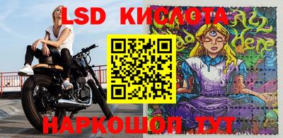 шишки Конаково